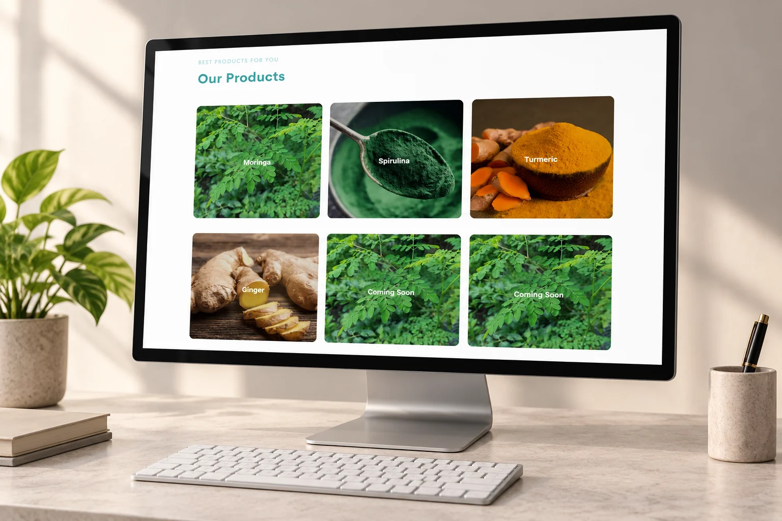 Kazanan Agro archived product grid on a monitor.